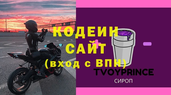 стаф Бородино